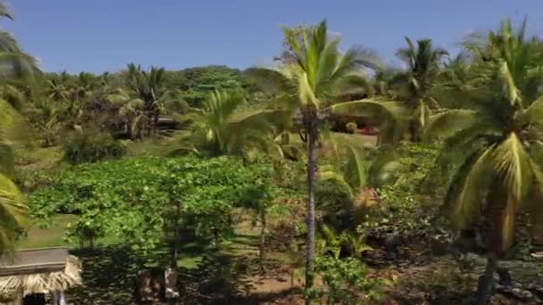 Aerial Drone Filmación Cerca Del Hotel Punta Islita Costa Rica — Vídeos de Stock