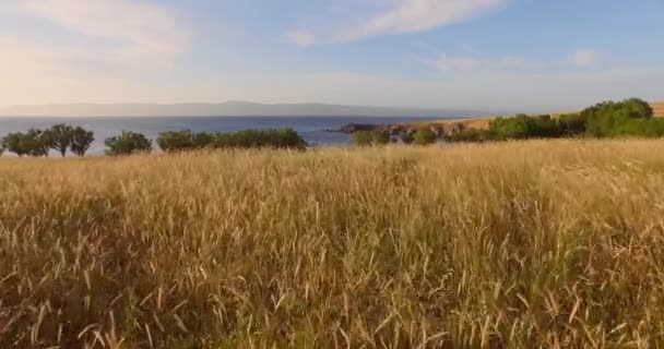 Aérien Coucher Soleil Sur Les Falaises Molyvos Lesbos — Video