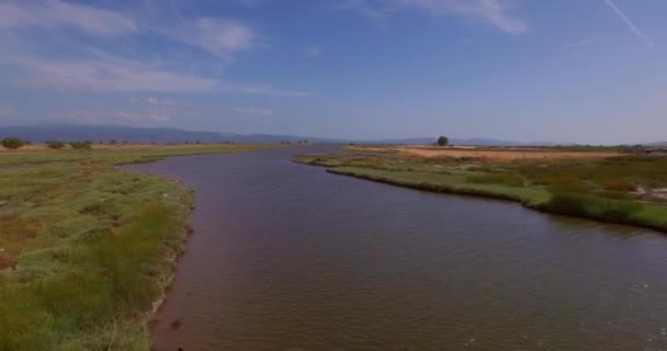 Aérien Delta Fluvial Traversé Par Une Route Pont Quelques Bâtiments — Video