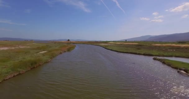 Aérien Delta Fluvial Traversé Par Une Route Pont Quelques Bâtiments — Video