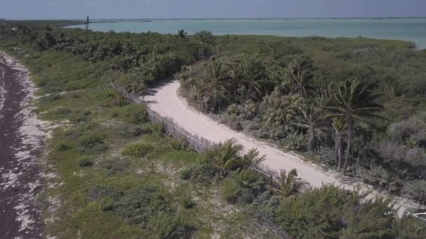 Mobil Mengemudi Jalan Hutan Oleh Pantai — Stok Video