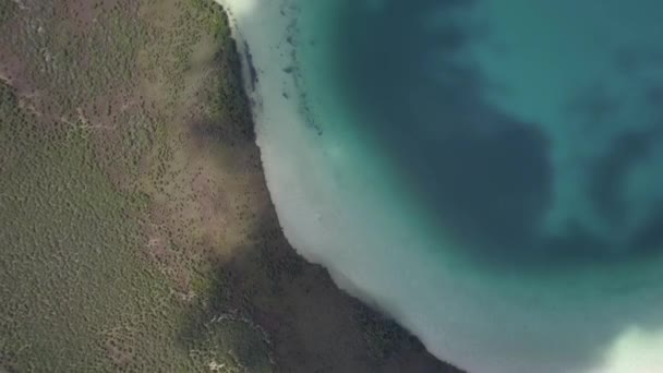 Laguna Dan Sabana Tropis — Stok Video