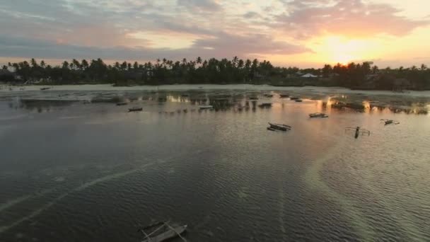 Aerial Partea Estică Zanzibar Timpul Mareei Apusului Soare Păsări Urma — Videoclip de stoc