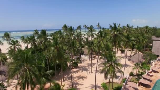 Luchtfoto Het Tropische Witte Strand Van Zanzibar — Stockvideo