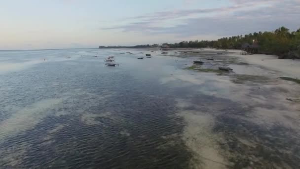 干潮と日没の間にザンジバルの東部 ドローンを追いかける鳥 — ストック動画