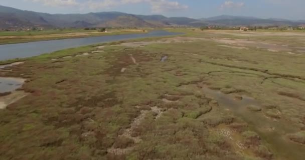 Aérien Delta Fluvial Traversé Par Une Route Pont Quelques Bâtiments — Video