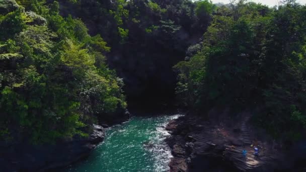 トリニダード島のカリブ海の入り江のドローン映像 — ストック動画