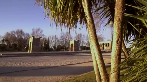 Templo Egípcio Debod Madrid Revelado Atrás Das Palmeiras — Vídeo de Stock