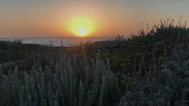 Una Hermosa Puesta Sol Desde Asilomar State Beach Monterey California — Vídeo de stock