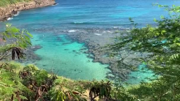 Aerial Footage People Exploring Spectacular Coral Reefs Hanauma Bay Hawaii — Stock Video