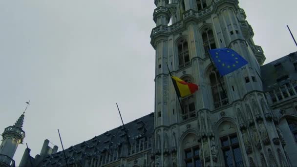 Grand Place Bruselas Bélgica Hermosa Vista Panorámica — Vídeos de Stock