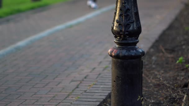 Personas Entrenando Parque Concéntrate Una Base Poste Lámpara Con Los — Vídeos de Stock