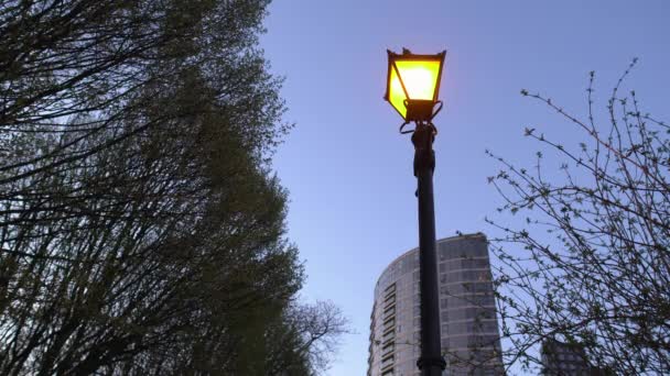 Breedhoekige Beelden Van Een Lantaarnpaal Gebouwen Bomen Vliegtuig Neerdalend Achtergrond — Stockvideo