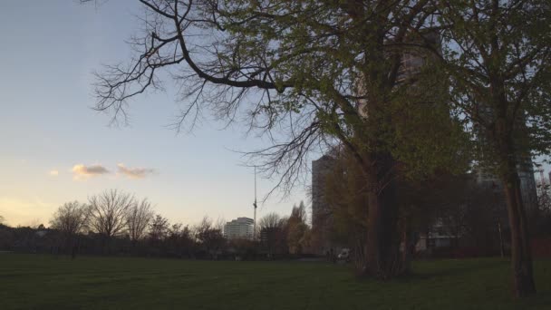 Park Krále Jiřího Londýně Při Západu Slunce Vítr Vanoucí Mezi — Stock video