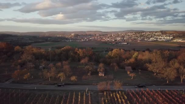 Vista Aérea Drone Pequena Cidade Swabian Vaihingen Enz Baden Wuerttemberg — Vídeo de Stock