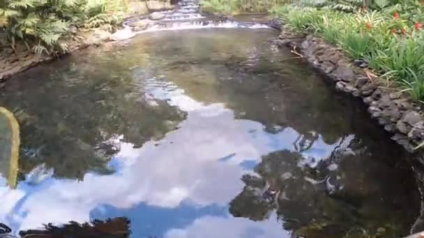 Ini Adalah Rekaman Salah Satu Dari Beberapa Mata Air Panas — Stok Video