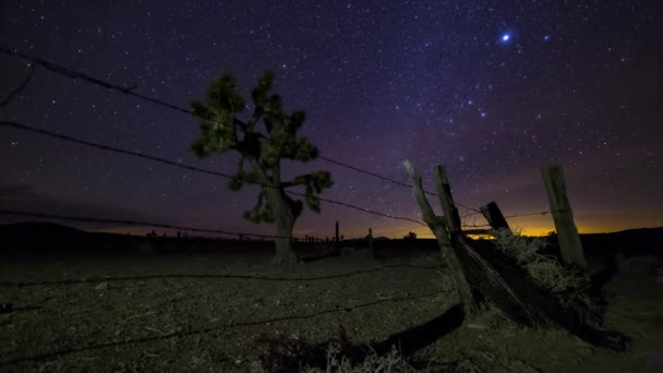 Samanyolu Nun Yıldızların Bulutların Joshua Ağacının Tel Çitin Üzerindeki Hareket — Stok video