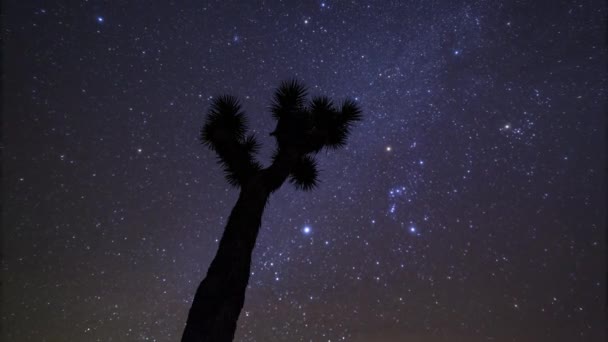 ジョシュアの木の上の天の川 雲の上の静止した時間の経過 — ストック動画