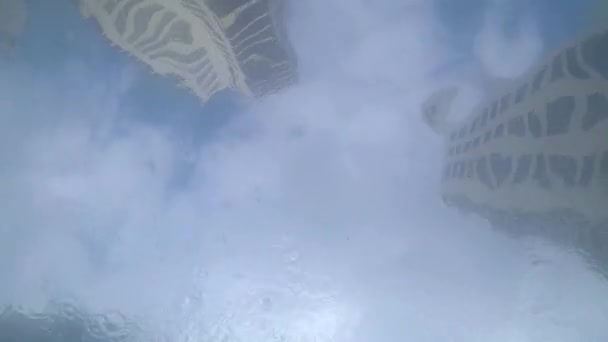 Прокатиться Яме Высотными Серферами Паркующимися Воде — стоковое видео