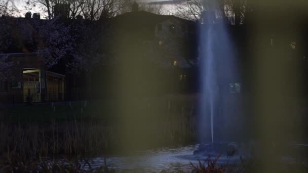 Νύχτα Στο Πάρκο Αντανάκλαση Νερού Από Μια Κρήνη Από Μια — Αρχείο Βίντεο