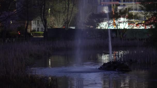 Nacht Park Wasserspiegelung Eines Brunnens Urbanes Paradies Verkehr Der Ferne — Stockvideo