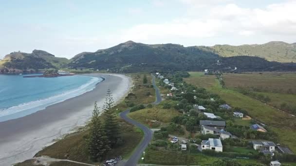 空中射击 飞越新西兰大堡岛的沼泽地海滩 — 图库视频影像