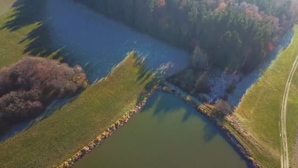 Scesa Aerea Sopra Foresta Lago Sole Del Mattino — Video Stock