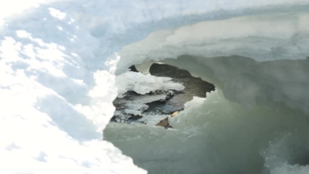 Petit Ruisseau Entouré Neige Glace Abattu Sur Trépied Dans Nord — Video