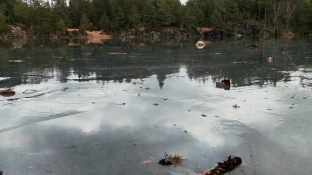 Laag Shot Van Wet Ice Lake Forest — Stockvideo