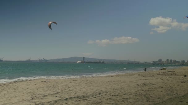 Sunny Beach Kites — Stock Video