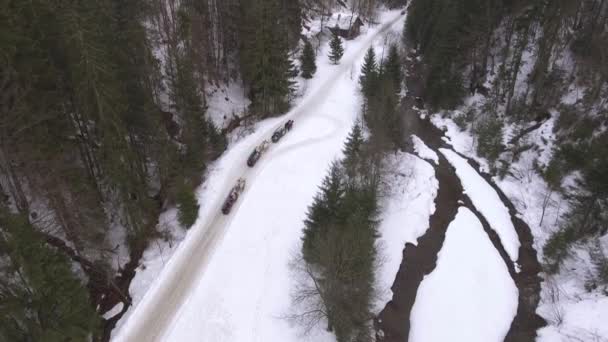 Prise Vue Aérienne Équipes Chevaux Tirant Traîneau Dans Une Étroite — Video