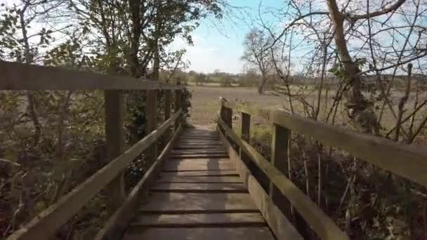 Uomo Fatto Ponte Pedonale Legno Sul Ruscello Poco Profondo Che — Video Stock