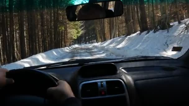Śnieżny Las Sosnowy Samochód Porusza Się Śnieżnej Drodze Bałkany Bułgaria — Wideo stockowe