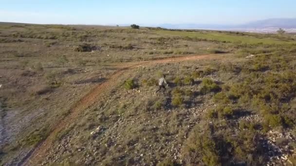 Uomo Che Fugge Qualcosa Seguito Drone Campagna — Video Stock