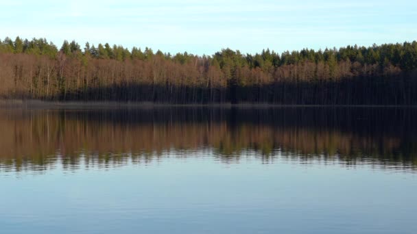 水平線の木々と水面の木々と空の反射が美しい自然湖のワイドショット — ストック動画