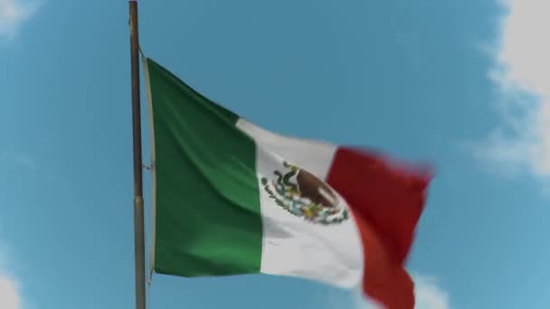 Mexická Vlajka Záběry — Stock video
