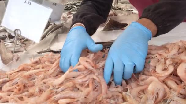 Prodávající Modrými Rukavicemi Vezme Krevety Papírový List Maloobchod Ryby Trhu — Stock video