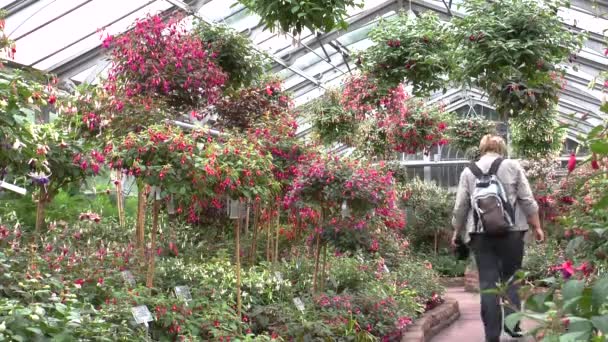 Vue Sur Les Plantes Femme Qui Marche Dans Zoo — Video