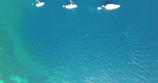 Flygfoto Över Den Gamla Hamnen Golfe Saint Tropez Med Lyxbåtar — Stockvideo