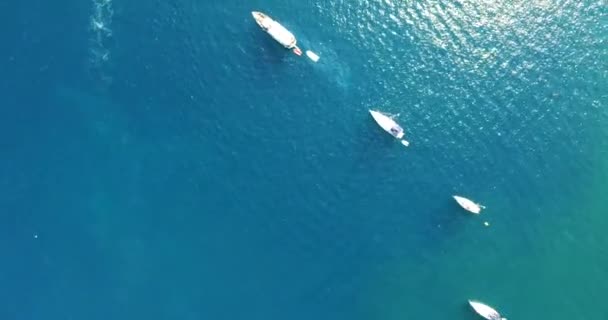 Flygfoto Över Den Gamla Hamnen Golfe Saint Tropez Med Lyxbåtar — Stockvideo