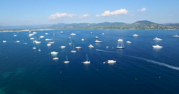 Flygfoto Över Den Gamla Hamnen Golfe Saint Tropez Med Lyxbåtar — Stockvideo