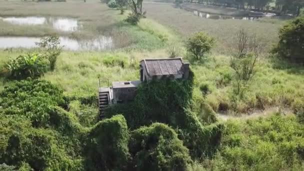 Tiro Aéreo Pequena Casa Pedra Destruída Meio Arbusto Pista Ângulo — Vídeo de Stock