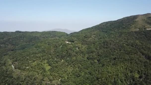 空中撮影 香港の忙しい街からジャングルに飛び込む — ストック動画