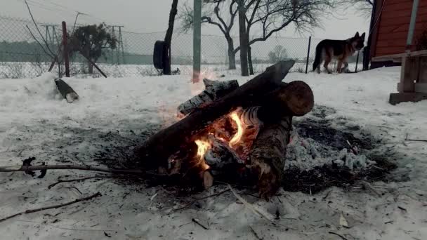 家の近くで冬のたき火 — ストック動画