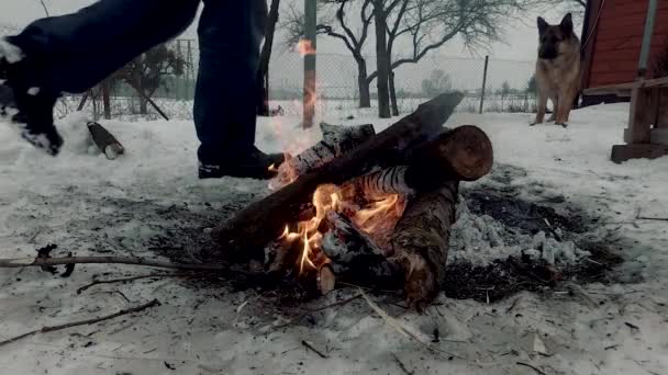 Bonfire Hiver Près Maison Homme Avec Chien — Video