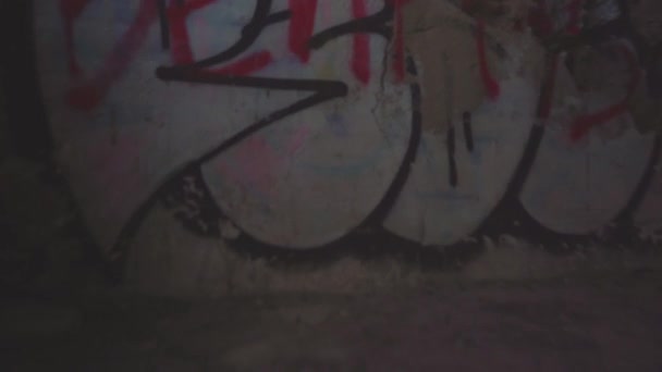 Alte Graffiti Wand Zeigt Großartige Flusslandschaft — Stockvideo