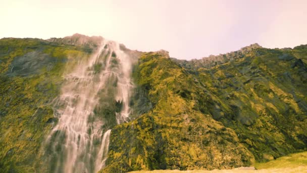 苔や草に覆われた岩で崖を流れる清らかな春の水とSerene滝 — ストック動画