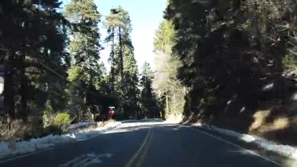 Rijden Weg Naar Lake Arrowhead Wat Sneeuw Met Sequoia Bomen — Stockvideo