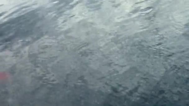 俄罗斯国旗在水面上 俄罗斯国旗出现在水面上 — 图库视频影像