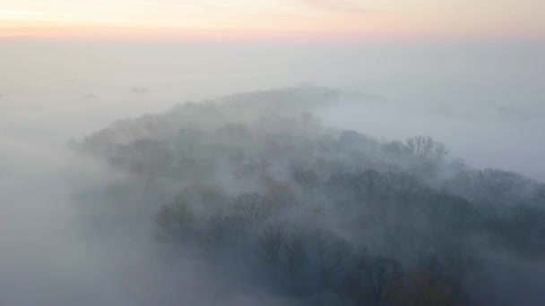 Vista Aérea Bosque Cerca Del Río Atardecer Con Mucha Niebla — Vídeo de stock